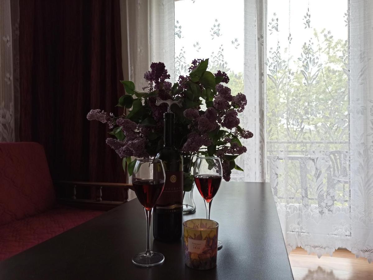 Apartament-Studio, Pokoje U Lucy ラプカ エクステリア 写真
